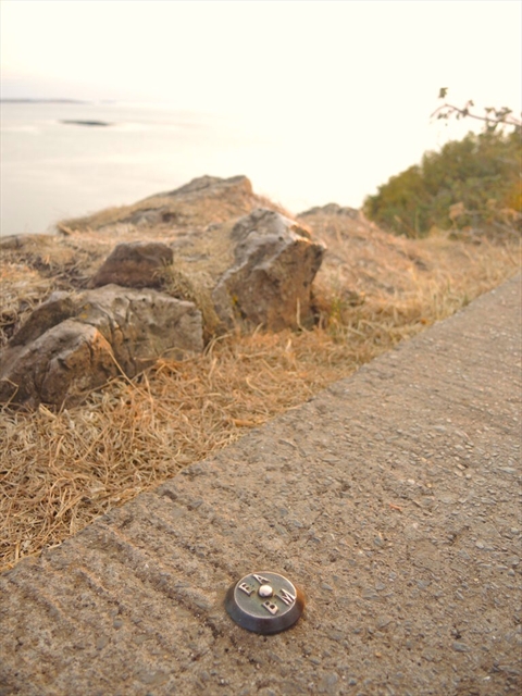 EA Benchmark at  by NEIL OWEN 