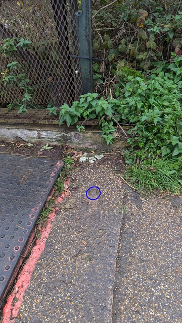 EA Benchmark at  by GEORGIA