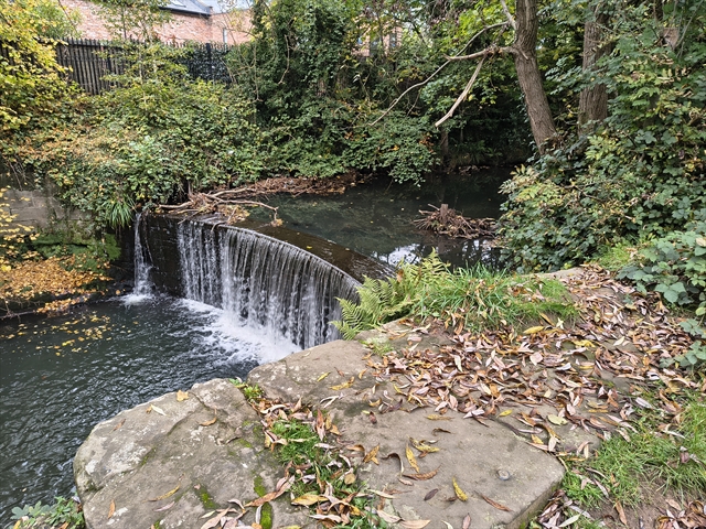 EA Benchmark at  by LIAM CORNER