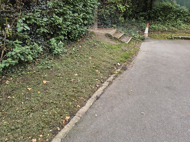 EA Benchmark at  by LIAM CORNER 