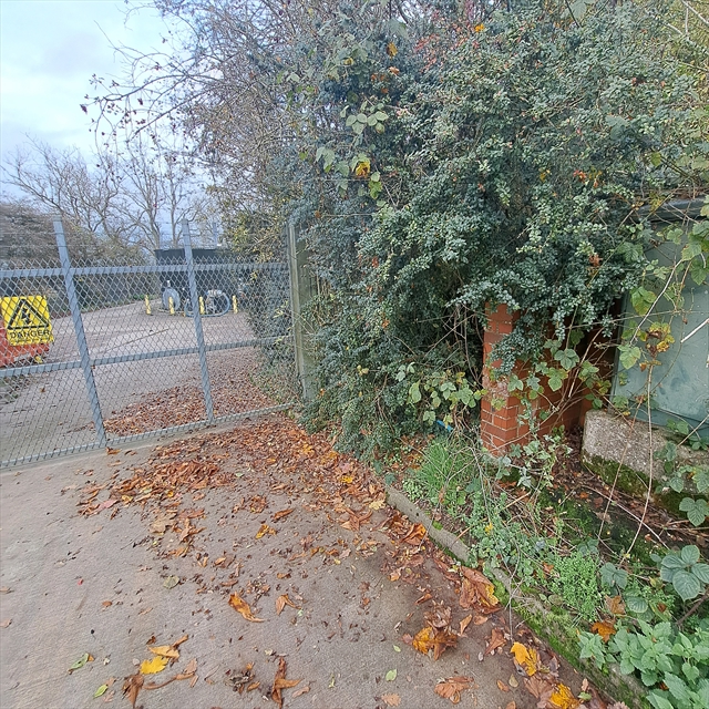 EA Benchmark at  by DAWN SMITH 