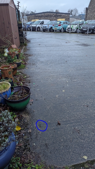 EA Benchmark at  by GEORGIA 