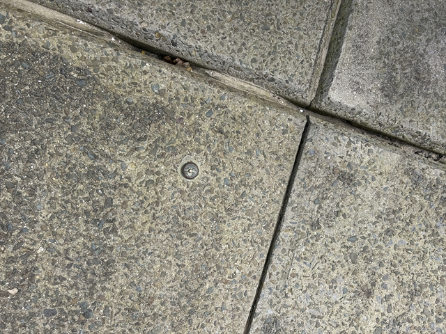 EA Benchmark at  by RHODRI THOMAS 