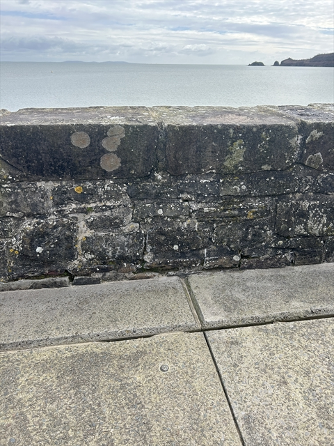 EA Benchmark at  by RHODRI THOMAS 